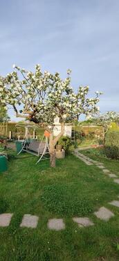 Foto - Grundstück in Leipzig