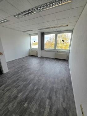 Foto - andere in Hofheim am Taunus