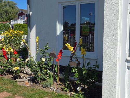 Foto - andere in Sellin