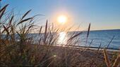 Foto - Ferienwohnung Fehmarn Ostsee bis 5 Personen