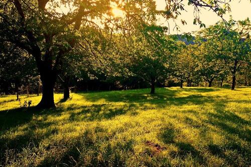 Foto - Wochenendgrundstuck - 85,00 EUR Kaltmiete, ca.  0,00 m²