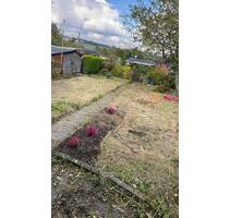 Pachtgartenich habe noch keine Bilder muss welche noch machen - Chemnitz Bernsdorf