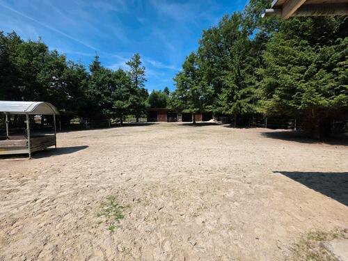 Foto - 8 Zimmer Einfamilienhaus zum Kaufen in Oyten