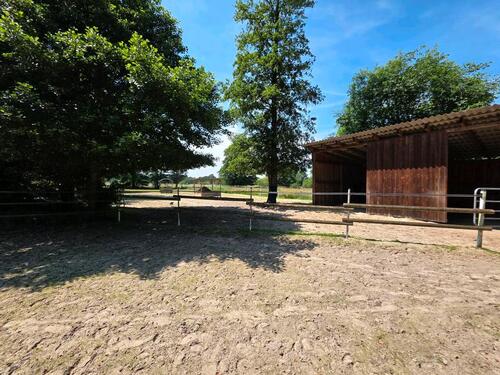 Foto - 8 Zimmer Einfamilienhaus in Oyten