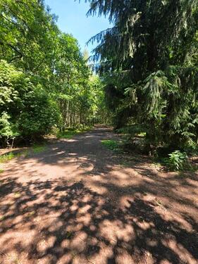 Foto - Einfamilienhaus in Oyten zum Kaufen
