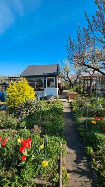 Foto - Kleingarten direkt am Elbepark - 3.500,00 EUR Kaltmiete, ca.  0,00 m²