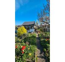 Kleingarten direkt am Elbepark - 3.500,00 EUR Kaltmiete, ca.  0,00 m² in Dresden (PLZ: 01139) Pieschen