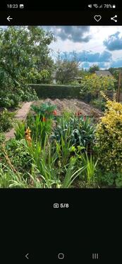 Foto - Grundstück in Dresden