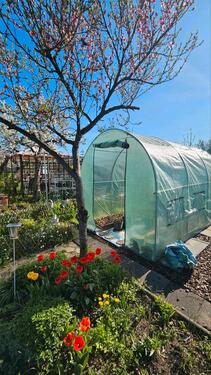 Foto - Grundstück in Dresden zur Miete