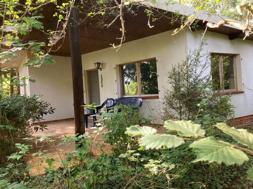 Foto - Einzigartiges Waldgrundstück mit Wochenendhaus und Teichzugang