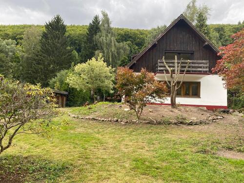 Foto - 4 Zimmer Einfamilienhaus in Herzberg am Harz