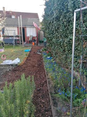 Foto - Grundst&uuml;ck zur Miete in Dresden