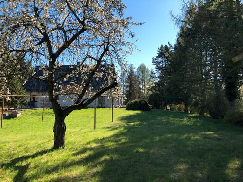 Foto - Einfamilienhaus in Triptis zum Kaufen