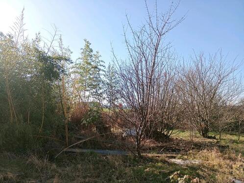 Foto - 10 Zimmer Einfamilienhaus in Oschatz
