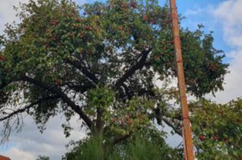 Foto - Grundstück in Radeberg zur Miete