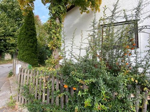 Foto - Einfamilienhaus in Roding