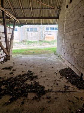 Foto - Unterstellplätze zu Vermieten nur noch 3 pllätze