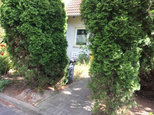 Foto - 7 Zimmer Reihenhaus zum Kaufen in Thale