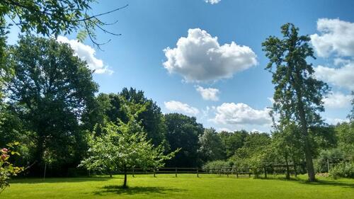 Foto - Bauernhaus Einfamilienhaus in sehr grüner Lage