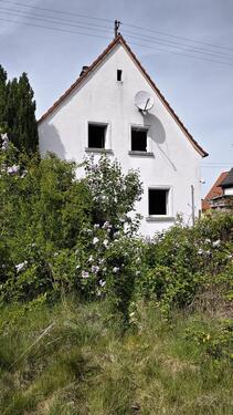 Foto - Feines Einfamilienhaus mit großem, sonnigen Grundstück