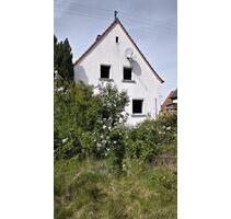 Feines Einfamilienhaus mit großem, sonnigen Grundstück - Ebertsheim