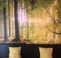 Sommerurlaub Harz - 46,00&nbsp;EUR Kaltmiete, in Bad Grund (Harz) (PLZ: 37539)