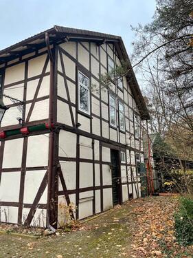 Foto - 32 Zimmer Mehrfamilienhaus, Wohnhaus zum Kaufen in Meinersen