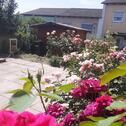 Foto - Reihenhaus in Reutlingen zum Kaufen
