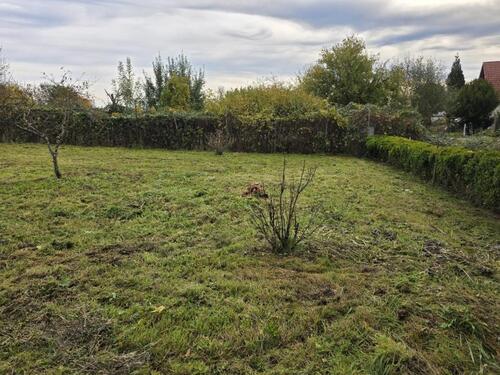 Foto - Eingezäuntes Gartengrundstück - 200,00 EUR Kaltmiete, ca.  0,00 m²