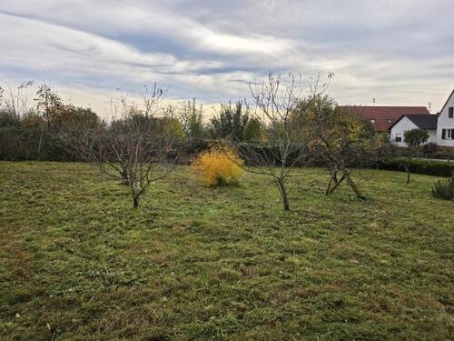 Foto - Grundstück in Klingenmünster