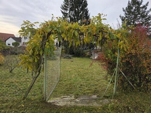 Foto - Grundstück in Klingenmünster zur Miete