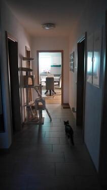 Foto - Erdgeschoßwohnung in Vilshofen an der Donau zur Miete