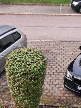 Foto - 3 Zimmer Etagenwohnung zum Kaufen in Friedrichshafen