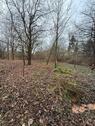 Foto - Freizeit Hobby Grundstück Wald - 250,00&nbsp;EUR Kaltmiete, ca.&nbsp; 0,00&nbsp;m&sup2;