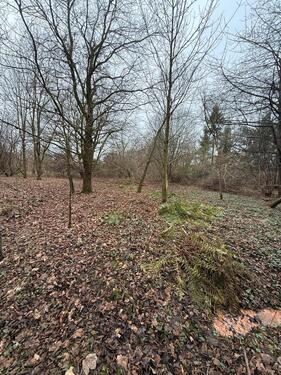 Foto - Freizeit Hobby Grundstück Wald - 250,00&nbsp;EUR Kaltmiete, ca.&nbsp; 0,00&nbsp;m&sup2;
