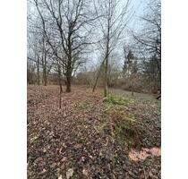 Freizeit Hobby Grundstück Wald - 250,00&nbsp;EUR Kaltmiete, ca.&nbsp; 0,00&nbsp;m&sup2; in Bassum (PLZ: 27211)
