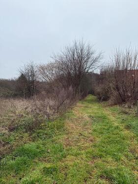 Foto - Grundst&uuml;ck in Bassum