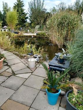 Foto - 4 Zimmer Bauernhaus, Landhaus in Preußisch Oldendorf