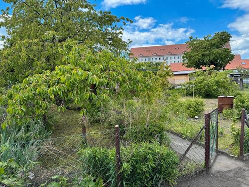 Foto - Grundst&uuml;ck zur Miete in Stendal