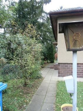 Foto - Einfamilienhaus zum Kaufen in Blankenfelde-Mahlow
