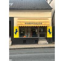 Ladenlokal - 510,00 EUR Kaltmiete, in Essen (PLZ: 45307) Stadtbezirk VII