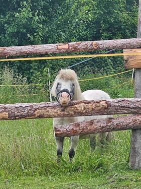 Foto - Ländlich gelegene Mietwohnung - 680,00 EUR Kaltmiete,