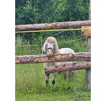 Ländlich gelegene Mietwohnung - 680,00 EUR Kaltmiete, in Sprockhövel (PLZ: 45549)