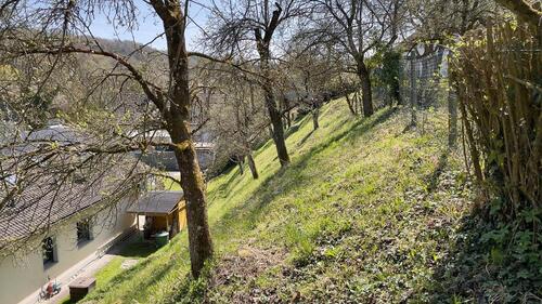 Foto - Einfamilienhaus in Dingolfing zum Kaufen