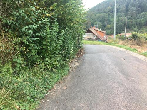Foto - Etagenwohnung in Ludwigshafen am Rhein