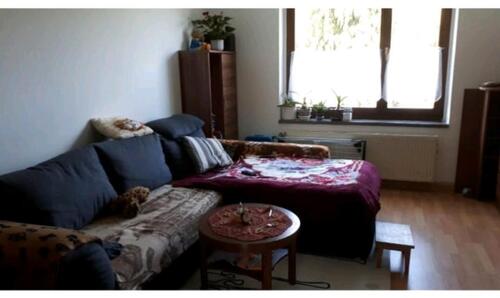 Foto - Etagenwohnung in Dippoldiswalde zur Miete