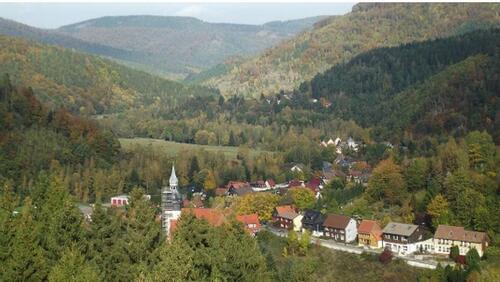 Foto - Einfamilienhaus zum Kaufen in Langelsheim