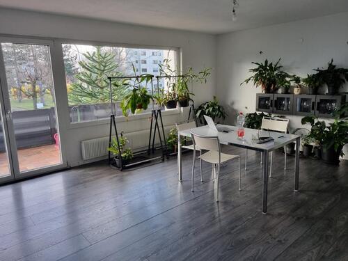 Foto - Einfamilienhaus in Lörrach zur Miete