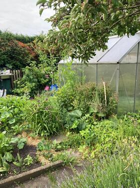 Foto - Grundstück in Leipzig