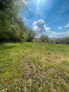 Foto - Gartengrundstück - 100,00&nbsp;EUR Kaltmiete, ca.&nbsp; 0,00&nbsp;m&sup2;